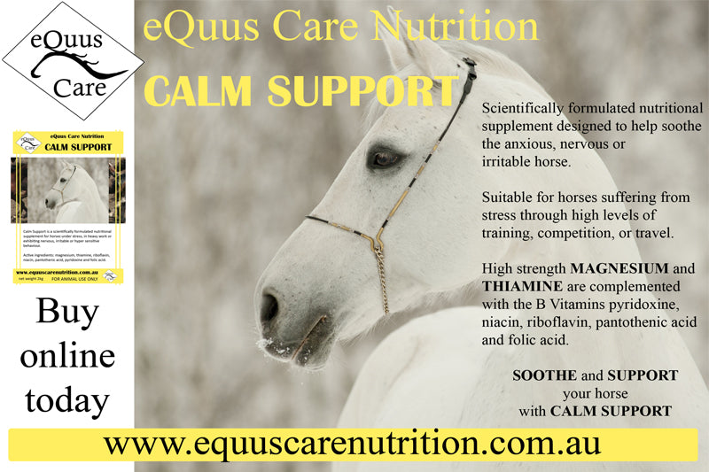 Calm Support