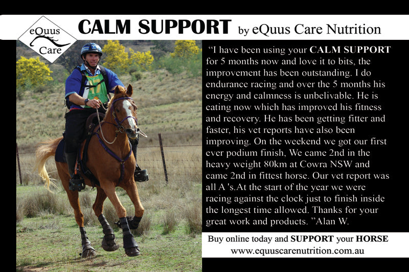 Calm Support