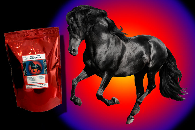 Laminitis Support