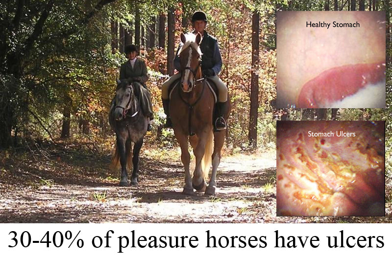 gastriEASE