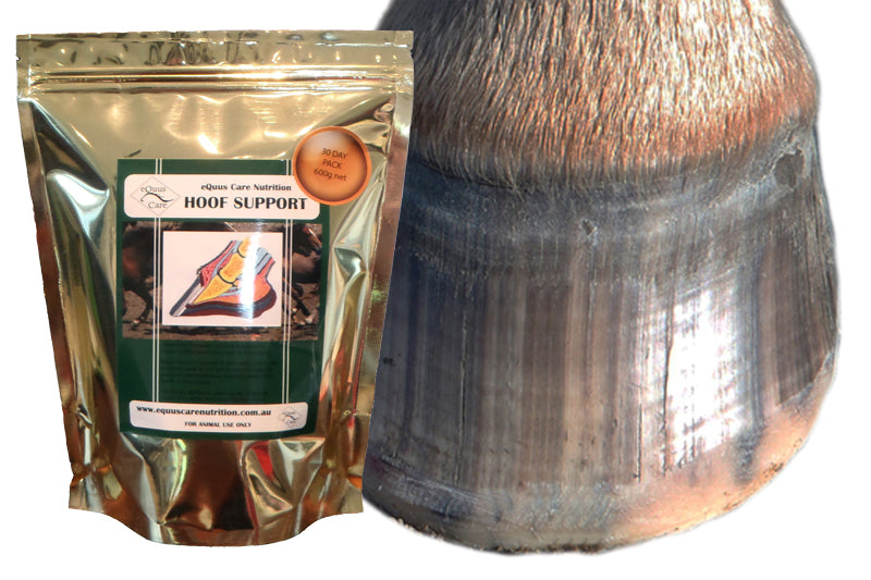 Hoof Support