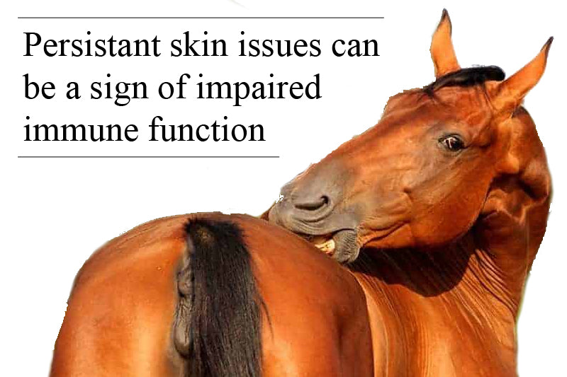 itchEASE