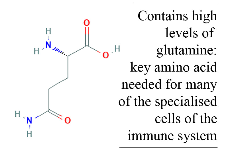 Immune Support