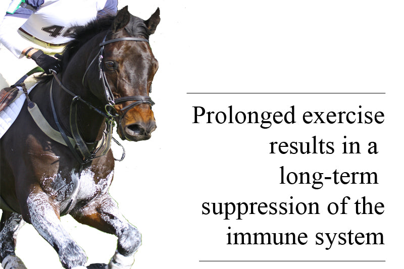 Immune Support