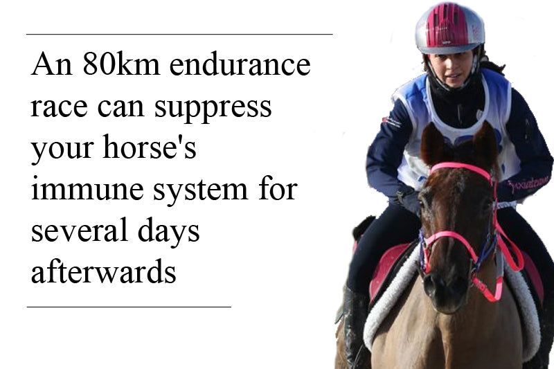 Immune Support