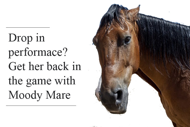 Moody Mare