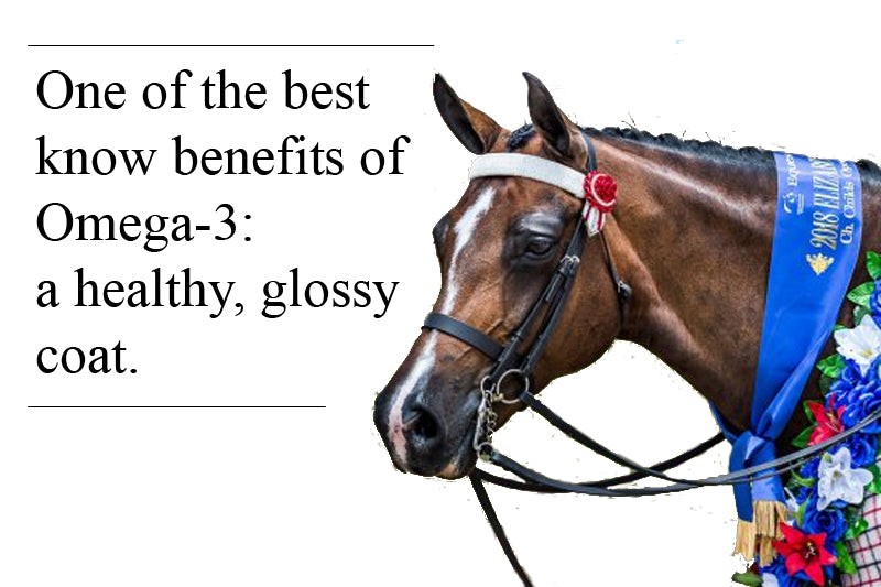 Omega-3