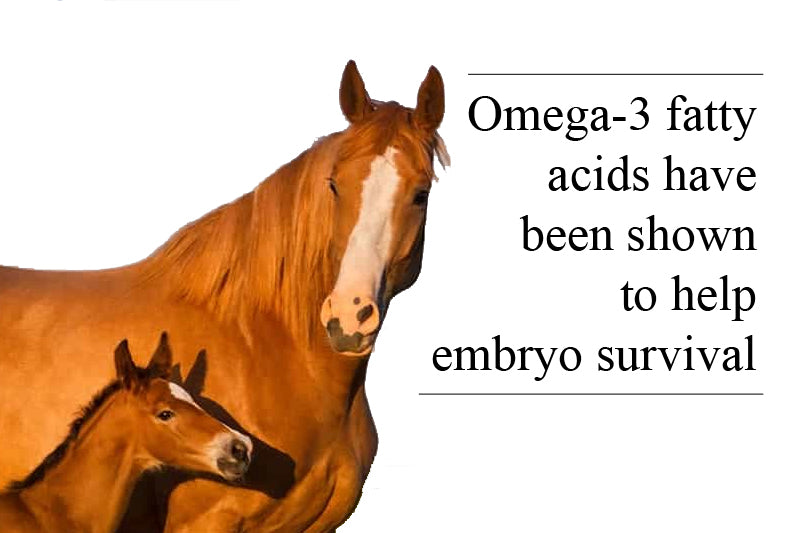 Omega-3