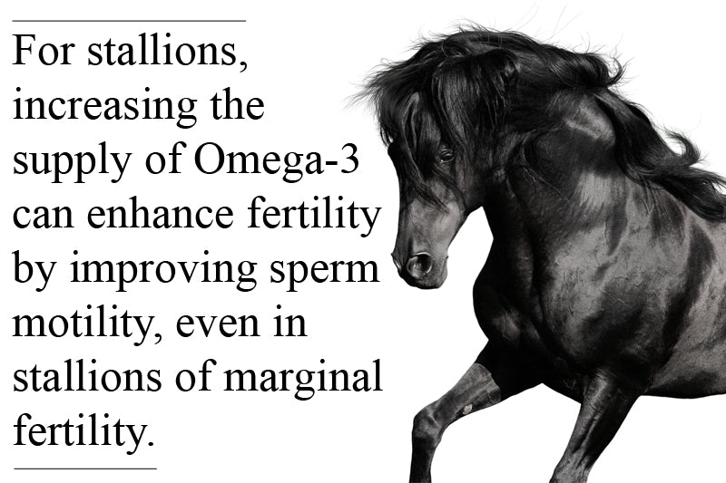 Omega-3