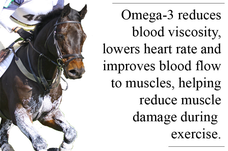 Omega-3